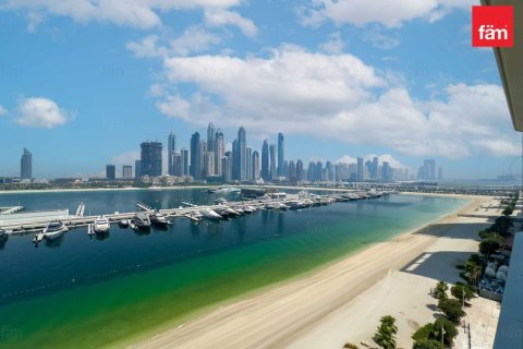 Apartment de 3 dormitorios en Dubai Harbour, UAE No. 100864 1