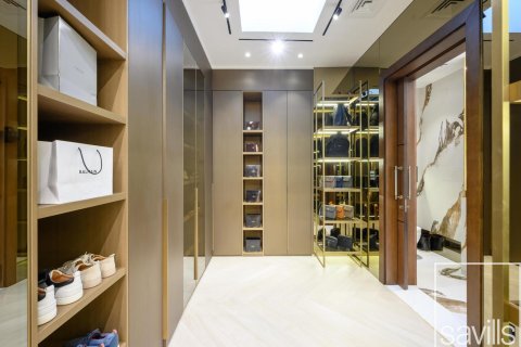 4 غرف نوم فيلا في البراري, الإمارات العربية المتحدة رقم 136723 29