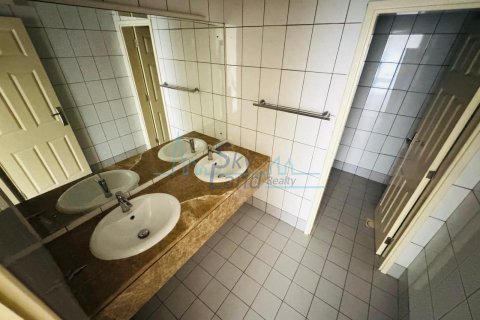 5 غرفة نوم  فيلا  رقم 125036 22