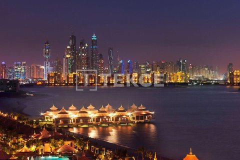 Пентхаус с 6 спальнями в Пальма Джумейра, ОАЭ №155284 23