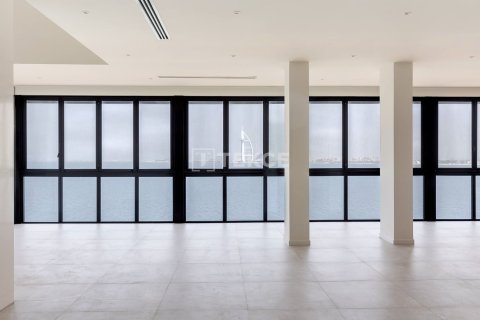 Пентхаус с 6 спальнями в Пальма Джумейра, ОАЭ №155284 11