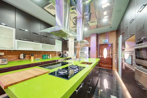 1723.72m² Villa in Sector E, UAE No. 192157 12
