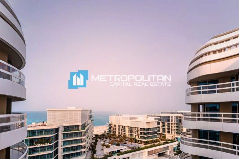 1 bedroom Apartment on the Saadiyat Island, UAE No. 148260 15