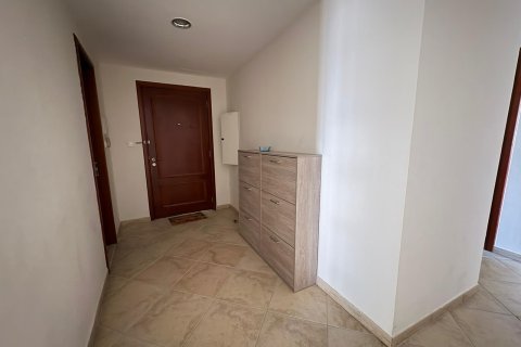 Квартира с 3 спальнями в Дубай, ОАЭ №156484 5