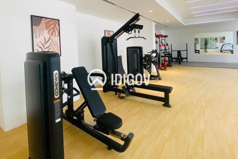 2 bedrooms Apartment in Dubai Silicon Oasis, UAE No. 184858 16