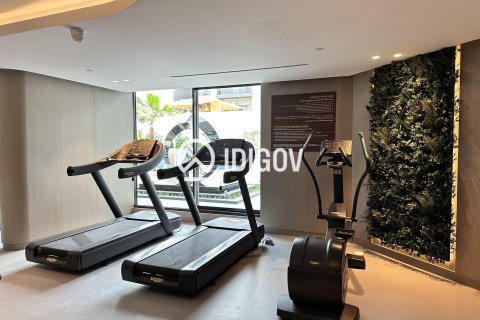 1 bedroom Apartment in District 11, UAE No. 184857 28