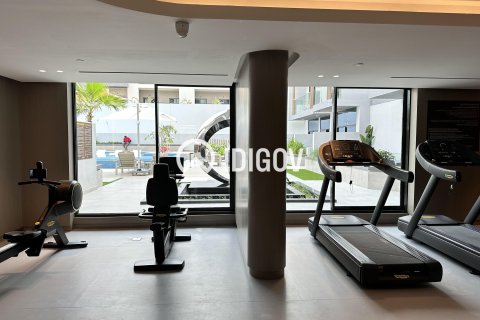 1 bedroom Apartment in District 11, UAE No. 184857 31