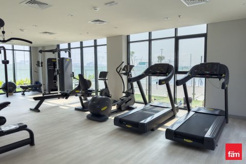28.1m² Apartment in Meydan, UAE No. 169816 27