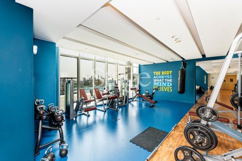 Appartement de Studio  No. 109897 27