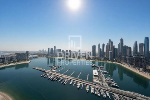 Penthouse de 4 chambres à EMAAR Beachfront, UAE No. 204627 27
