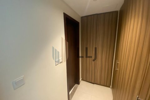 2 غرف نوم شقة على جزيرة السعديات, الإمارات العربية المتحدة رقم 102048 28