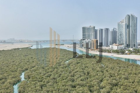 Apartment de 2 dormitorios en Al Reem Island, UAE No. 102046 21