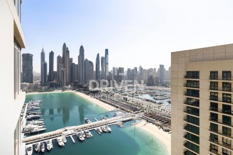 Квартира с 2 спальнями в EMAAR Beachfront, ОАЭ №137702 3
