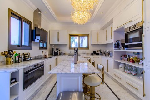 4 غرف نوم فيلا في Jumeirah Islands, الإمارات العربية المتحدة رقم 87858 16