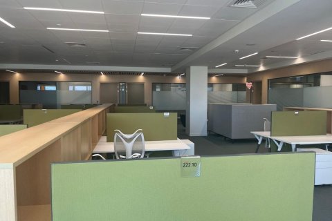 5800مربع، مكتب في Al Khalidiya, الإمارات العربية المتحدة رقم 79580 15
