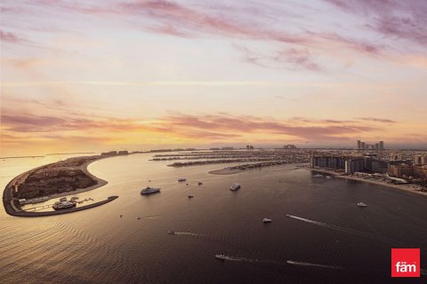 3 غرف نوم شقة في Dubai Harbour, الإمارات العربية المتحدة رقم 149453 5