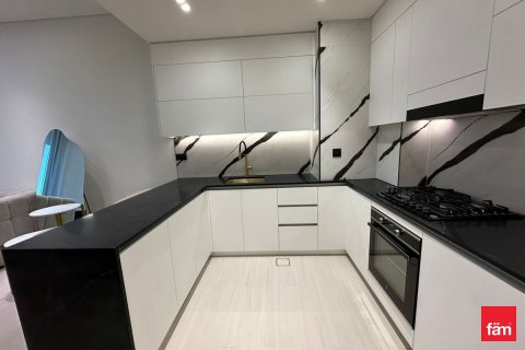 1 bedroom Apartment  No. 116061 10