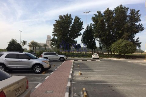 1 bedroom Apartment  No. 105914 12