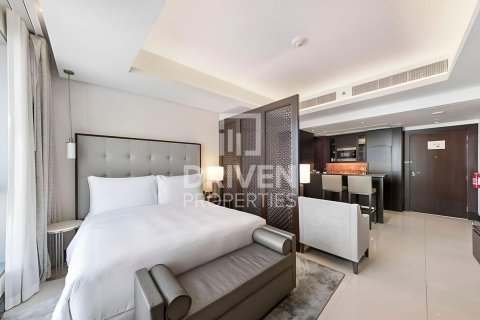 Studio Apartment in Downtown Dubai (Downtown Burj Dubai), UAE No. 191649 6