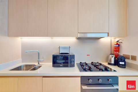 1 bedroom Apartment in Downtown Dubai (Downtown Burj Dubai), UAE No. 168570 10