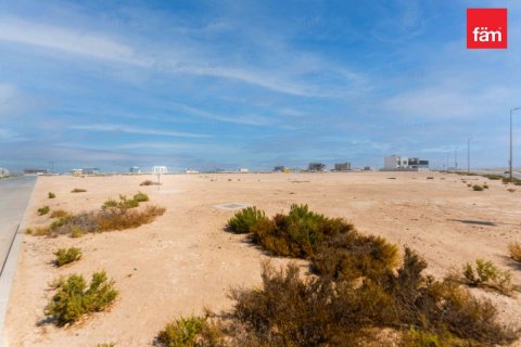 3980.9m² Land in City of Arabia, UAE No. 208318 5