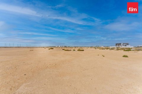 3980.9m² Land in City of Arabia, UAE No. 208318 6