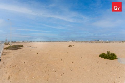 3980.9m² Land in City of Arabia, UAE No. 208318 4