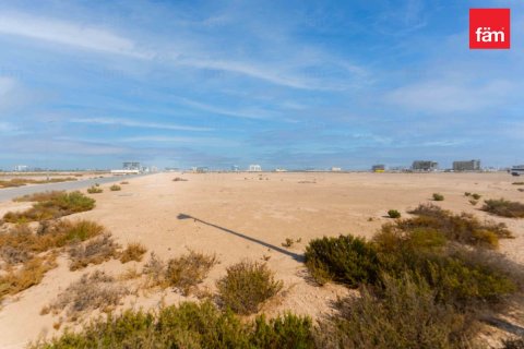 3980.9m² Land in City of Arabia, UAE No. 208318 7