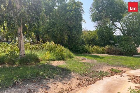 1132.2m² Land in Al Barari, UAE No. 208350 3