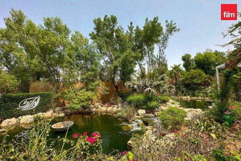 1132.2m² Land in Al Barari, UAE No. 208350 10