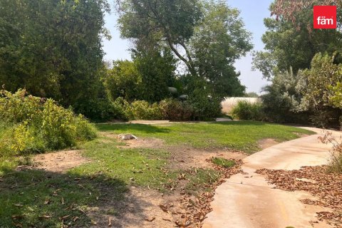 1132.2m² Land in Al Barari, UAE No. 208350