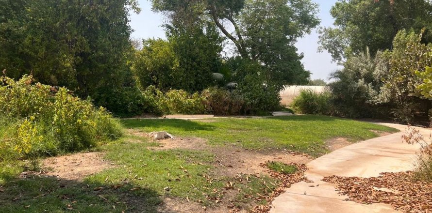 1132.2m² Land in Al Barari, UAE No. 208350