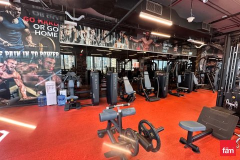 Квартира с 1 спальней в Дубай, ОАЭ №137470 12