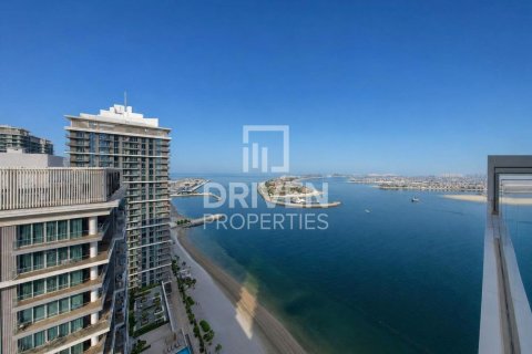 2 bedrooms Apartment in EMAAR Beachfront, UAE No. 191584 4