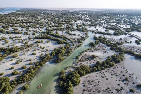 3 غرف نوم تاون هاوس في أبو ظبي, الإمارات العربية المتحدة رقم 61972 13