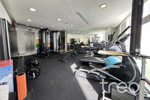 Villa de 8 dormitorios en Emirates Hills, UAE No. 173796 6