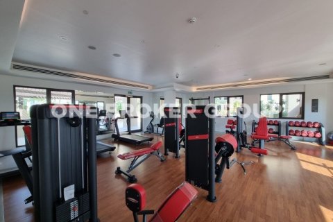 1 غرف نوم شقة في ASAYEL Asayel, الإمارات العربية المتحدة رقم 94879 14