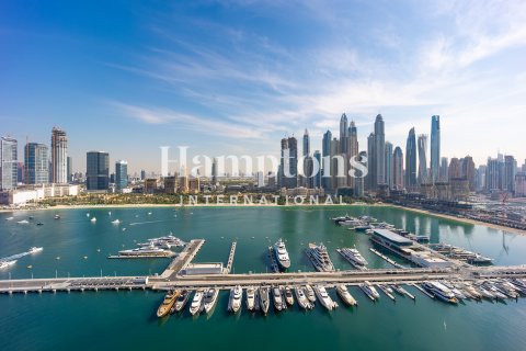 3 غرف نوم شقة في Dubai Harbour, الإمارات العربية المتحدة رقم 132439 4