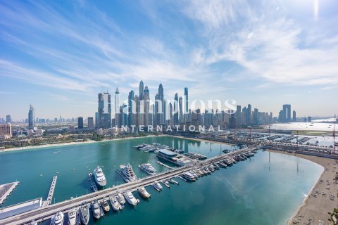 3 غرف نوم شقة في Dubai Harbour, الإمارات العربية المتحدة رقم 132439 3