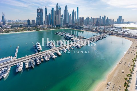 3 غرف نوم شقة في Dubai Harbour, الإمارات العربية المتحدة رقم 132439 18