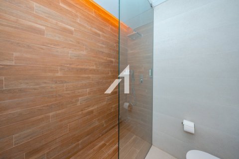 Квартира с 3 спальнями  №115145 13