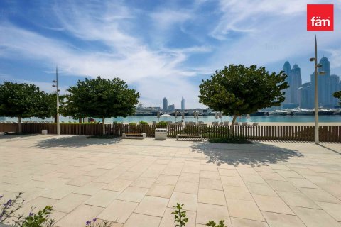 Квартира с 3 спальнями в Dubai Harbour, ОАЭ №148702 3