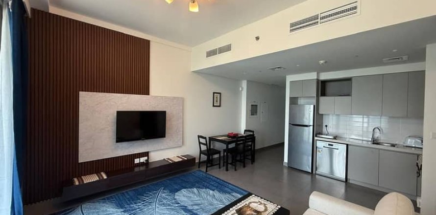Apartment de 1 dormitorio  No. 113229