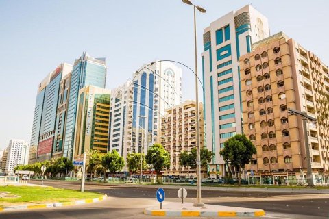 3159m² Building in Airport Road, UAE No. 89951 2