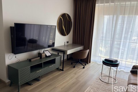 Apartamento tipo estudio Estudio en Downtown Dubai (Downtown Burj Dubai), UAE No. 194246 13