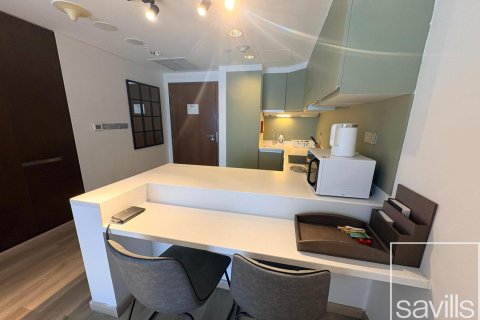 Apartamento tipo estudio Estudio en Downtown Dubai (Downtown Burj Dubai), UAE No. 194246 18