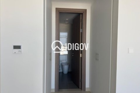 2 bedrooms Apartment in Mina Al Arab, UAE No. 184558 10