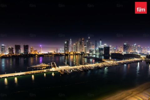 Квартира с 2 спальнями в Dubai Harbour, ОАЭ №210160 26