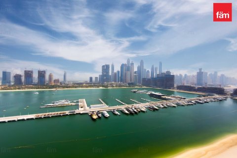 Квартира с 2 спальнями в Dubai Harbour, ОАЭ №210160 22