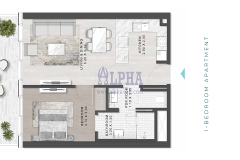 1 bedroom Apartment  No. 127059 3